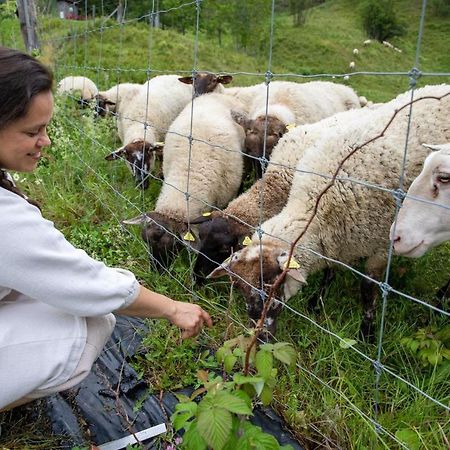 La Vieille Ferme, Ecogite Saint-Fulgence Ngoại thất bức ảnh