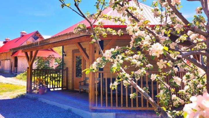 La Vieille Ferme, Ecogite Saint-Fulgence Ngoại thất bức ảnh