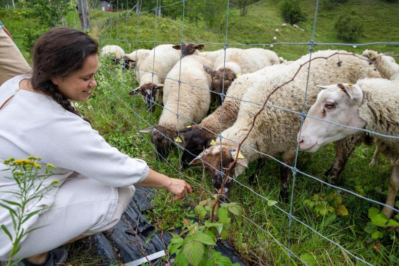La Vieille Ferme, Ecogite Saint-Fulgence Ngoại thất bức ảnh