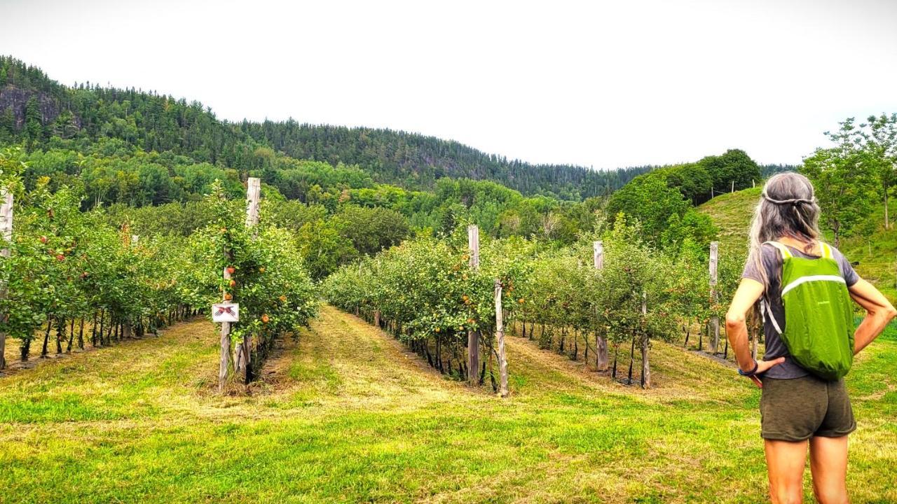 La Vieille Ferme, Ecogite Saint-Fulgence Ngoại thất bức ảnh